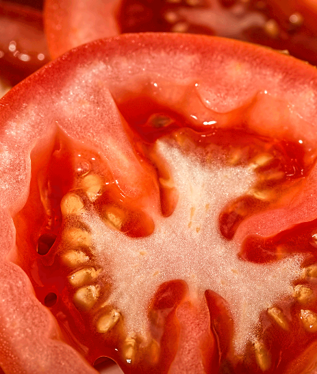 Salat von Pirmos kebap haus